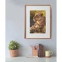 Clementoni Compact 500 - Puzzle 500 pièces "Feline Love" avec poster - Boîte compacte - 49 x 36 cm