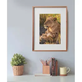 Clementoni Compact 500 - Puzzle 500 pièces "Feline Love" avec poster - Boîte compacte - 49 x 36 cm