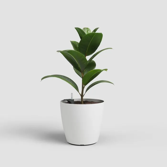 ARTEVASI - Pot San Remo SWS 42 MA - Pot de fleurs sur pieds pour intérieur et extérieur - Plastique résistant aux UV - Blanc - 43,3 x 39,5 cm - 42,3 litres