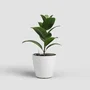 ARTEVASI - Pot San Remo SWS 42 MA - Pot de fleurs sur pieds pour intérieur et extérieur - Plastique résistant aux UV - Blanc - 43,3 x 39,5 cm - 42,3 litres