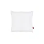 Abeil - Lot de 2 Oreillers Anti-Acarien Sanitized 60 x 60 cm - Blanc - Certifié Oeko-Tex Standard 100