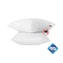 Abeil - Lot de 2 Oreillers Anti-Acarien Sanitized 60 x 60 cm - Blanc - Certifié Oeko-Tex Standard 100