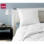 Abeil Lot de 2 Oreillers Anti-Acarien 60 x 60 cm - Blanc