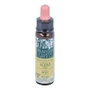 PLANTIS Holly Plantis Fleurs de Bach Nº 15 10ml