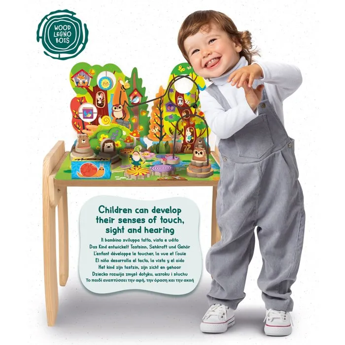 Lisciani Giochi Jouer et Apprendre Table Multi-Activités Fée des Bois Lisciani Giochi Jouer et Apprendre Table Multi-Activités Fée des Bois