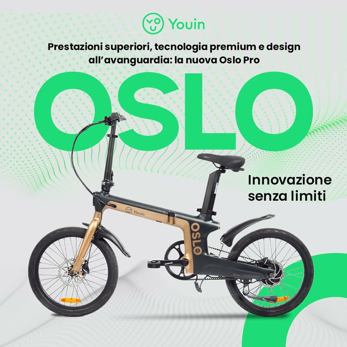 Vélo Électrique Youin BK1950 OSLO PRO Noir Doré Vélo Électrique Youin BK1950 OSLO PRO Noir Doré