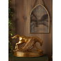 WIDDOP & CO Figura Buckbeak Harry Potter 17cm