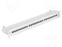 DELOCK Panneau de brassage Cat 6 RJ45 24 ports 1U gris