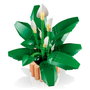 LEGO Botanicals Lirio de la Paz 11504