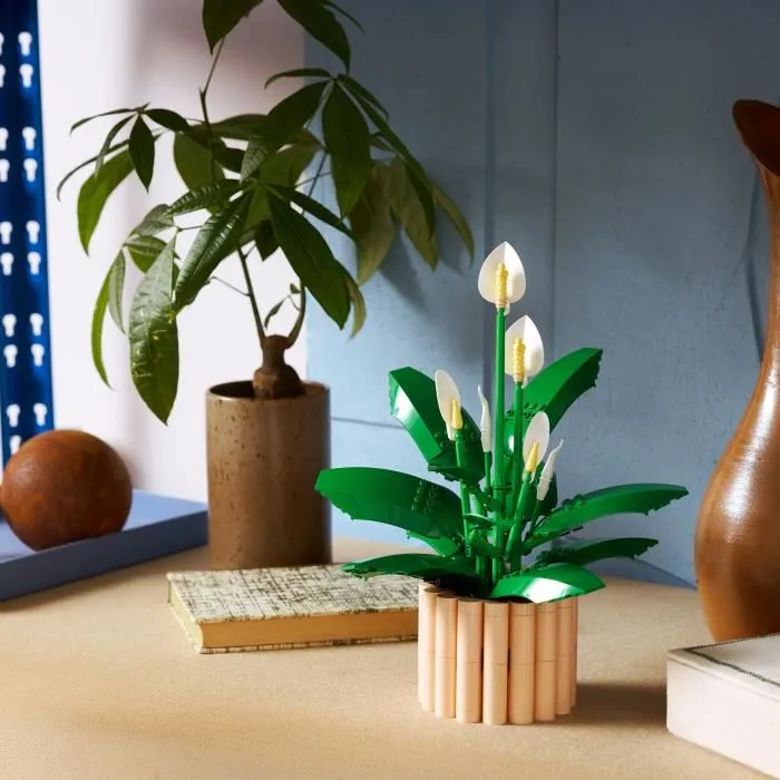 LEGO 11504 Botanicals - Set de Construction Les Fleurs de Lune - Plante Artificielle Décorative pour Adulte LEGO 11504 Botanicals - Set de Construction Les Fleurs de Lune - Plante Artificielle Décorative pour Adulte