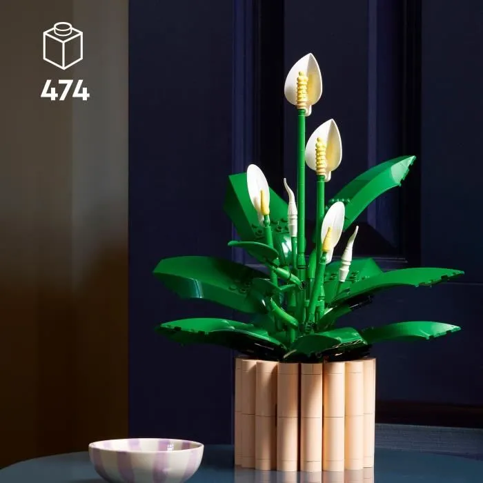 LEGO 11504 Botanicals - Set de Construction Les Fleurs de Lune - Plante Artificielle Décorative pour Adulte LEGO 11504 Botanicals - Set de Construction Les Fleurs de Lune - Plante Artificielle Décorative pour Adulte