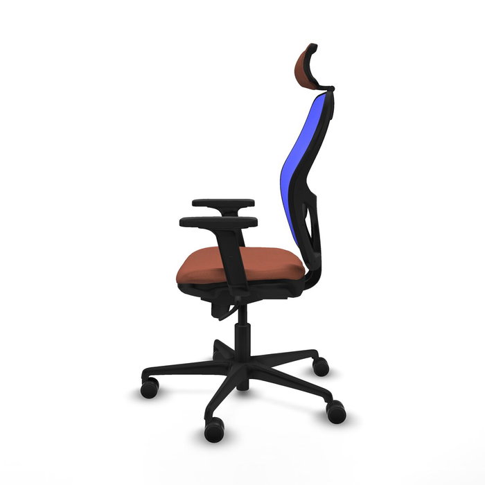 Piqueras y Crespo Chaise de Bureau 2D036N2 Bleu Marron