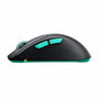 Cherry M64 WIRELESS Souris de gaming sans fil Noir
