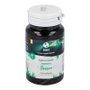 Probioticos San Ferment Senior 60g