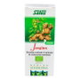 Salus Jus de Gingembre Schoenenberger 200 ml