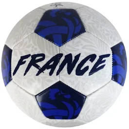 FFF Ballon de football Vision T5 - 400g - Finition brillante pour une meilleure visibilité - Robustesse et durabilité