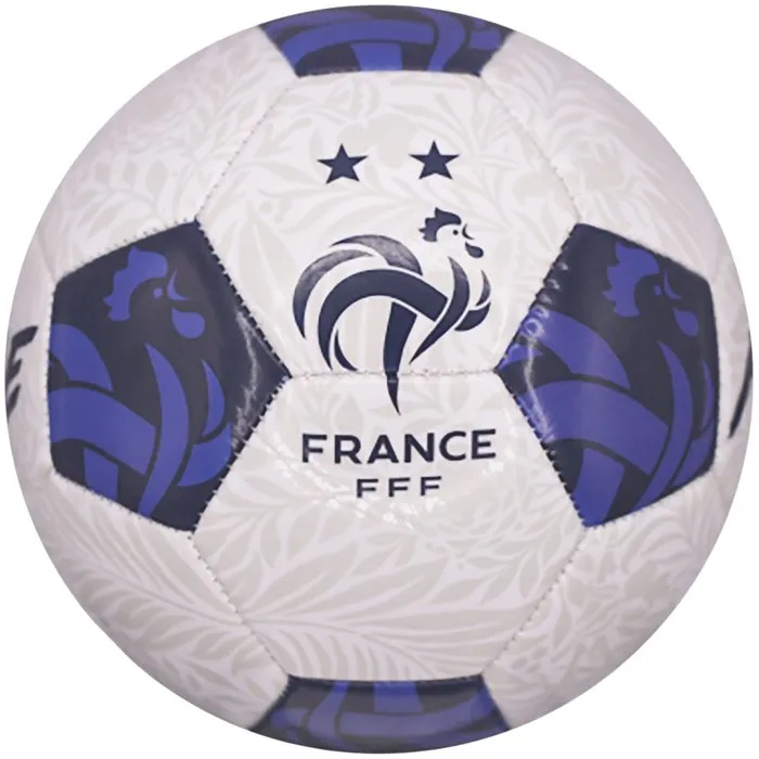 FFF Ballon de football Vision T5 - 400g - Finition brillante pour une meilleure visibilité - Robustesse et durabilité