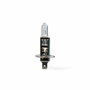 M-Tech Lampe Halogène H1 P14.5s 12V 55W