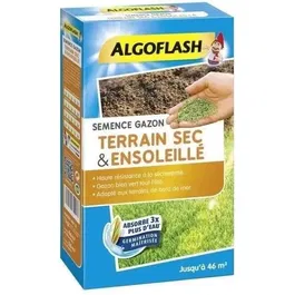 Algoflash Semences de Gazon pour Terrain Sec et Ensoleillé - 1kg - Mélange Résistant à la Sécheresse, Économe en Eau - Pour Zones Côtières