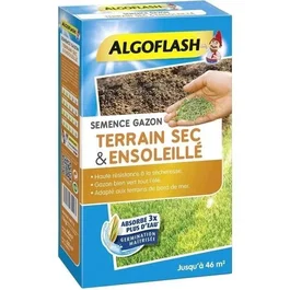 Algoflash Gazon terrain sec ensoleillé 1kg