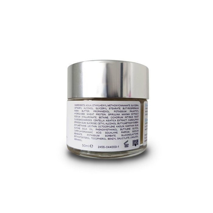 Emap'S Beauty & Cosmetics Crème Protectrice 50 ml