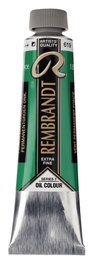 Rembrandt Peinture à l'huile Vert Permanent Foncé 619 - 40 ml