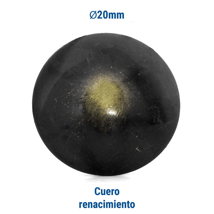 HEICO Q&Q Tachuela Lisa Hierro Ø20mm Acabado Cuero Negro Niquelado Brillante HEICO Q&Q Tachuela Lisa Hierro Ø20mm Acabado Cuero Negro Niquelado Brillante