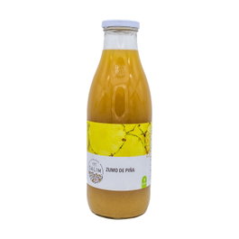 Int-Salim Jus d'Ananas sans Sucres 1L - Jus de Fruits Exotiques