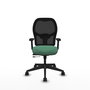 PIQUERAS Y CRESPO Chaise Alocén Synchrone Vert émeraude et Noir