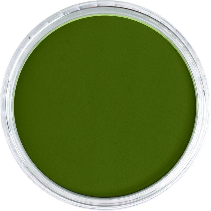 Panpastel 220.1 Jaune Hansa Xtr Foncé