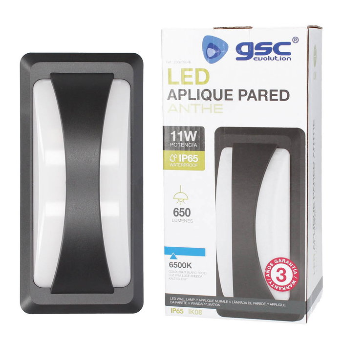 GSC Evolution Anthe Applique murale LED 11W Gris anthracite IP65