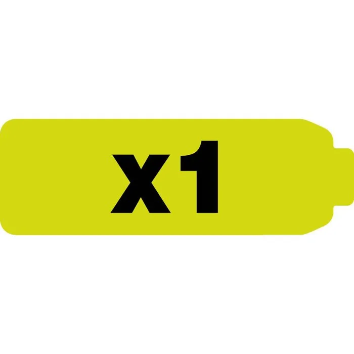 Ryobi Tournevis 4V USB Lithium RSD4-120TA2 avec batterie 2Ah et chargeur