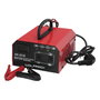 WOLFPACK LINEA PROFESIONAL Chargeur de batterie automatique 6/12V 10-150 Ah