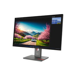 Lenovo - Écran PC 4K UHD 32" 60 Hz IPS avec USB-C, 64A8GAT2EU (P32UD-40)