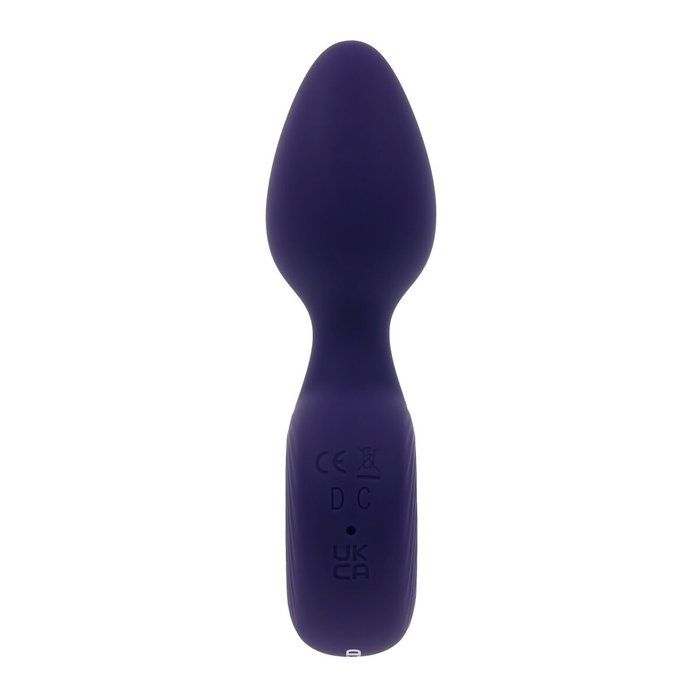 Vibromasseur Evolved Violet Vibromasseur Evolved Violet