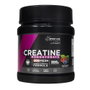 Drasanvi Sport Live Créatine 200Mesh FruitsDesForêts 300 g