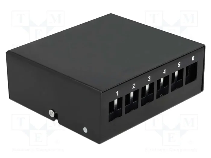 DELOCK Panneau de brassage Keystone noir 6 ports DELOCK Panneau de brassage Keystone noir 6 ports