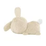 Fisher-Price Mon Lapin Câlin HXG97 - Peluche veilleuse apaisante pour bébé, 5 sons, jouet d'éveil sensoriel avec lumière douce