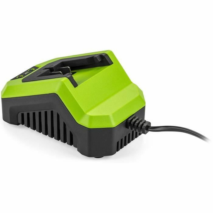 Fieldmann Chargeur de batterie 20V pour batteries 2Ah et 4Ah