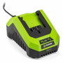 Fieldmann Chargeur de batterie 20V pour batteries 2Ah et 4Ah