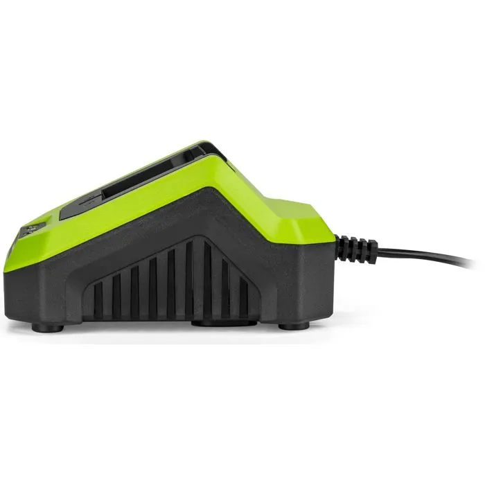 Fieldmann - Chargeur pour batterie 20V, recharge 2Ah en 60 min, compatible modèles 2Ah et 4Ah, indication LED, protection contre la surchauffe