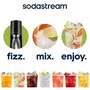 Sodastream Machine à soda et eau pétillante TERRA Noire - 1 bouteille lave-vaisselle incluse + recharge de gaz CO2 60L