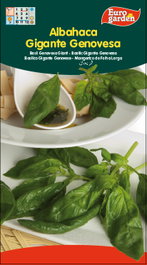 Semillas Fito Aromaticas Albahaca Gigante Genovese - Boîte de 10