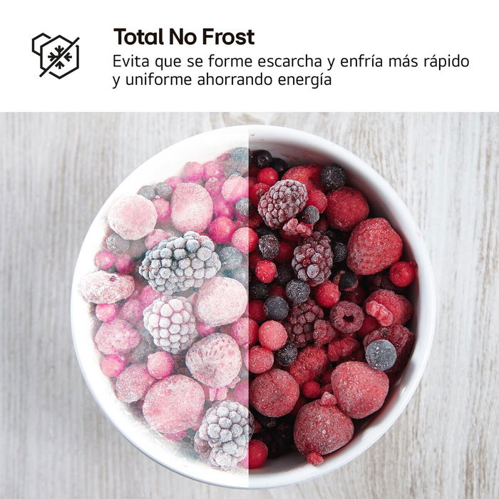 Réfrigérateur Combiné LG GTBV22SWNJ Blanc