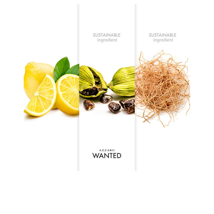 Azzaro WANTED HOMME Eau de Toilette Vapo 100 ml