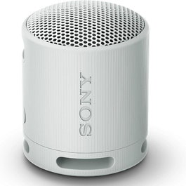 Haut-parleurs bluetooth portables Sony SRSXB100H Gris