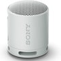 Haut-parleurs bluetooth portables Sony SRSXB100H Gris