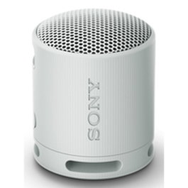 Sony SRS-XB100 Gris