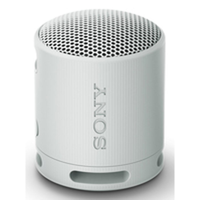 Sony SRS-XB100 Gris