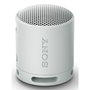 Haut-parleurs bluetooth portables Sony SRSXB100H Gris